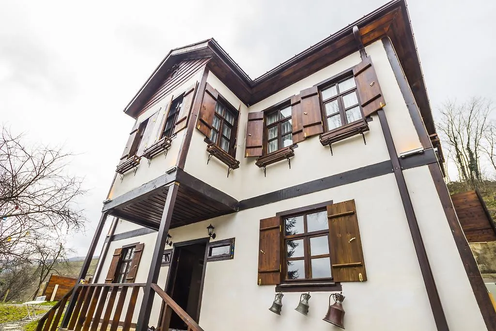 Samlioglu Historical Villa Trabzon Penzion