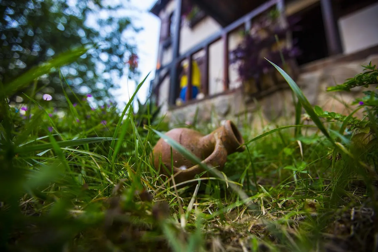 Samlioglu Historical Villa Trabzon Penzion