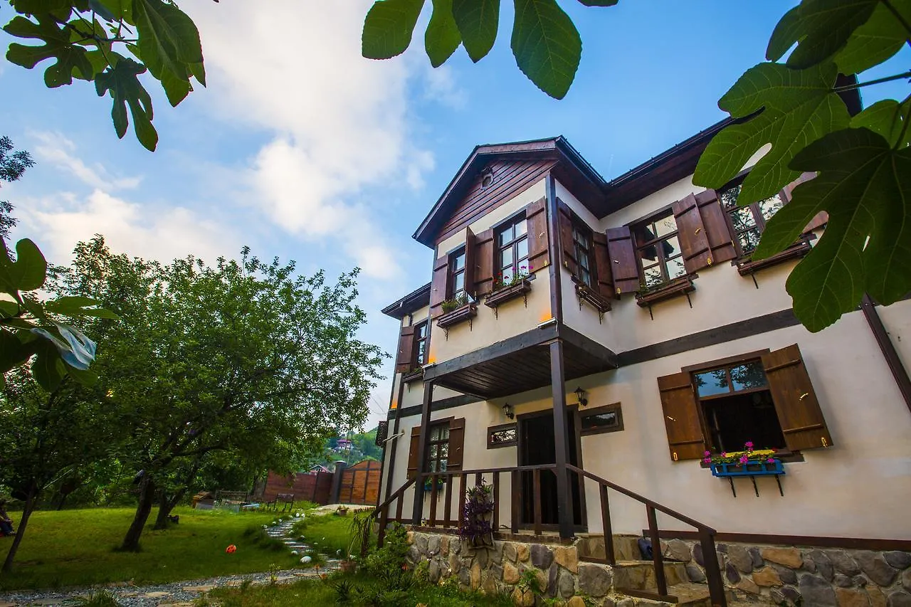 Samlioglu Historical Villa ترابزون